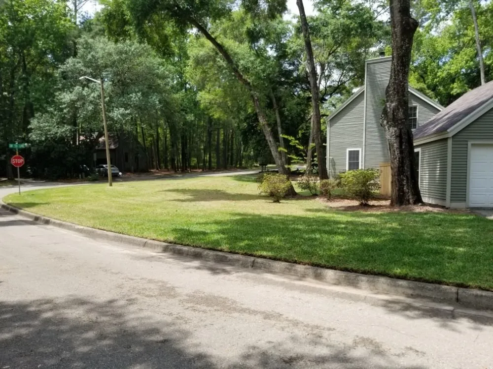 Expert landscaping services in Gainesville, FL - C & L Lawn Care Service