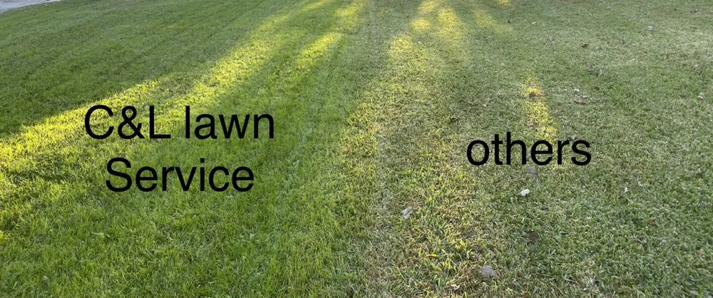 Affordable landscaping services in Brunswick, GA - C & L Lawn Service