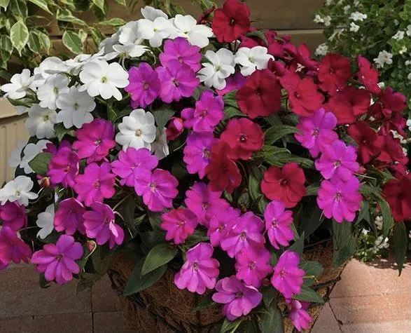 Trusted landscape design for outdoor upgrades in Brunswick, GA by C & L Lawn Service