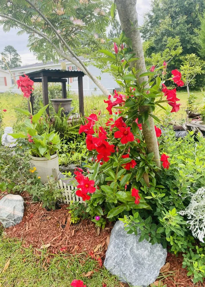 Expert landscape installation experts serving Brunswick, GA - C & L Lawn Service