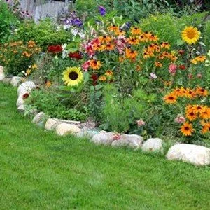 Expert lawn care service in Gary, IN - C & L Lawncare