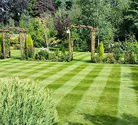 Custom landscape design in Gary, IN by C & L Lawncare