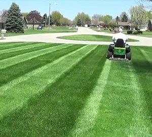 Top-rated lawn mowing service in Gary, IN by C & L Lawncare
