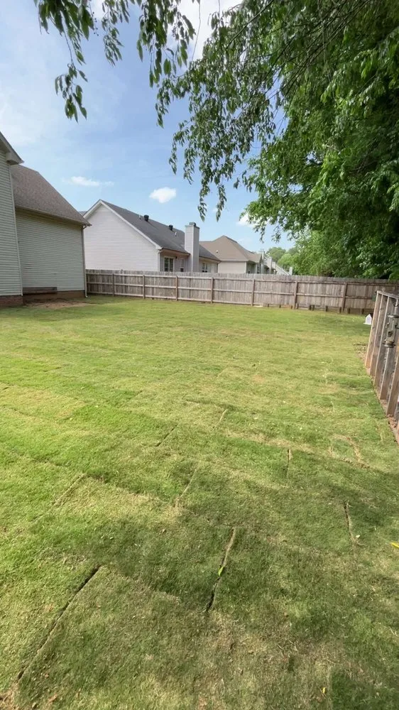 Custom landscape installation in Adams, TN by C & M Farms