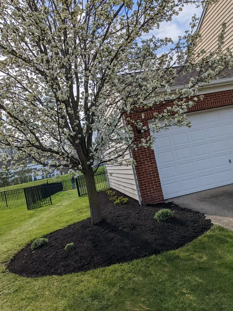 Reliable yard maintenance experts serving Avon Lake, OH - C & M Landscaping