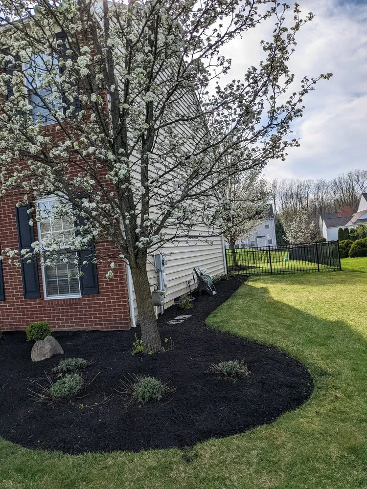 Reliable yard maintenance experts serving Avon Lake, OH - C & M Landscaping