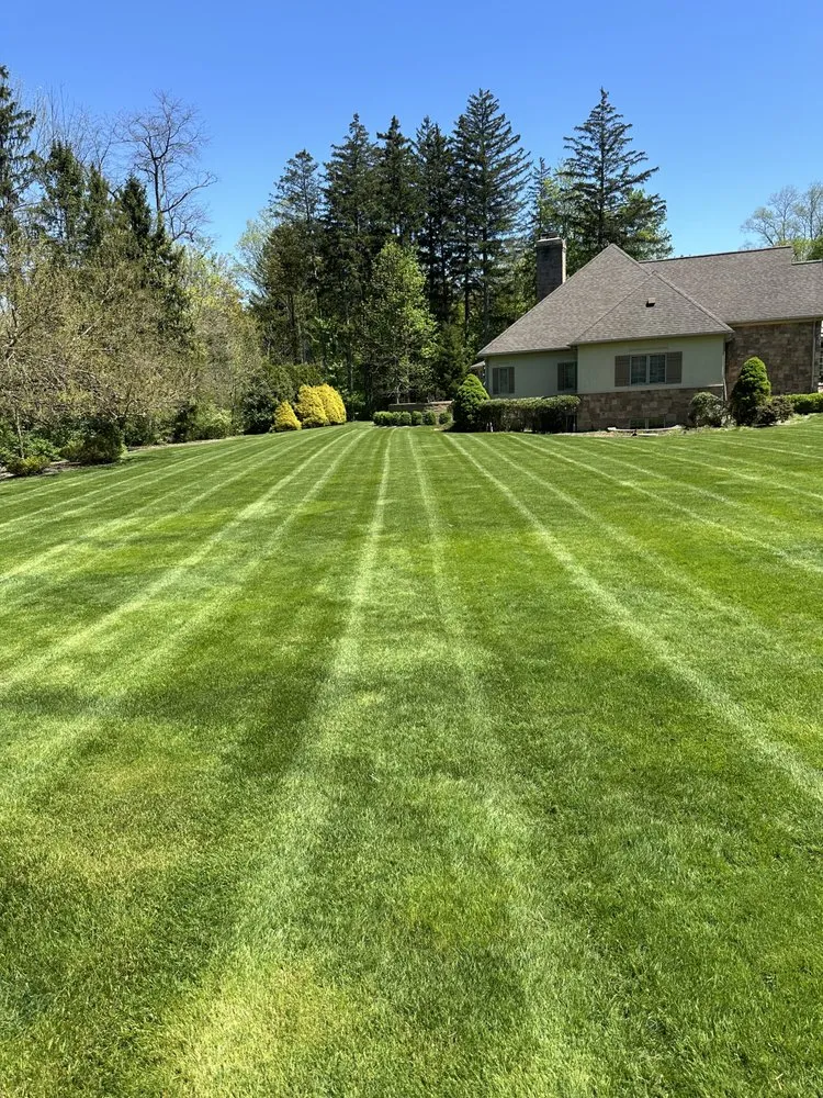 Trusted landscape installation for residential properties across Lakewood, OH - C & M Landscaping