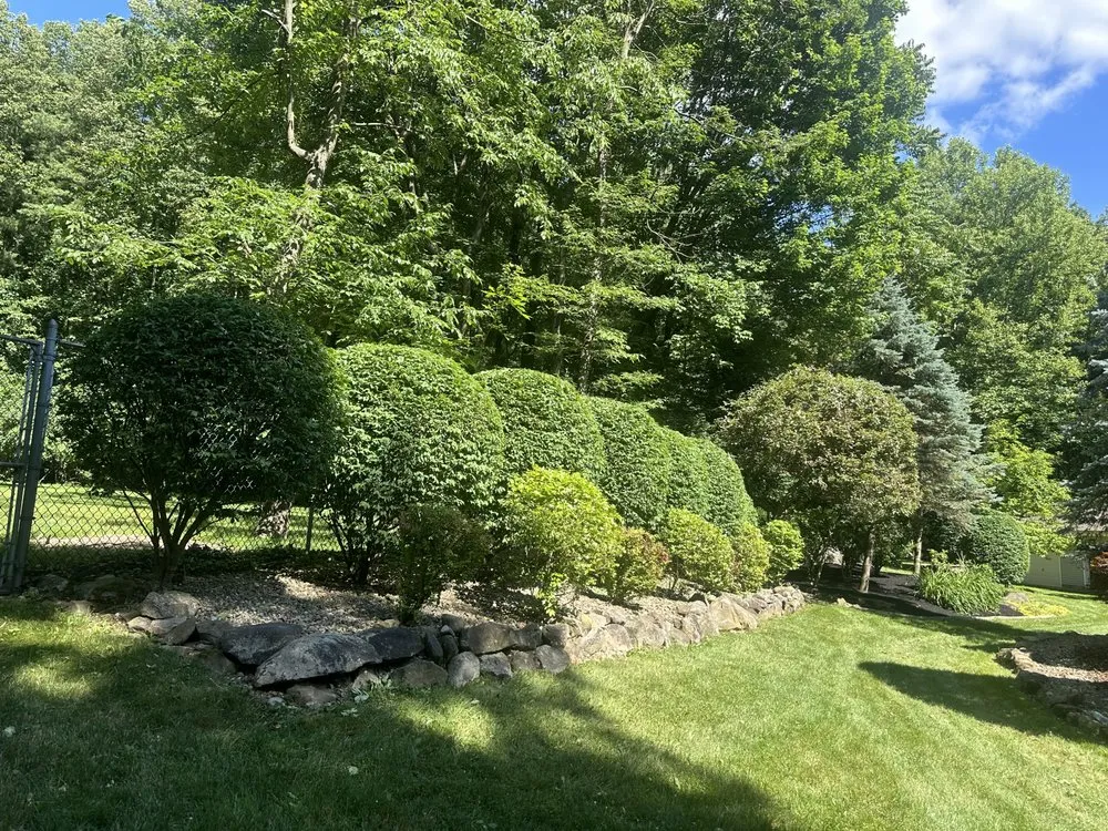 Professional landscape installation in Lakewood, OH - C & M Landscaping