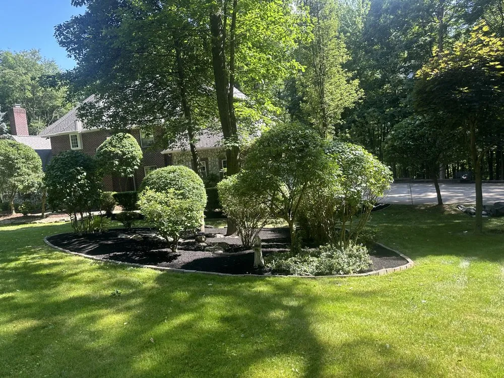 Trusted yard maintenance in Lakewood, OH - C & M Landscaping