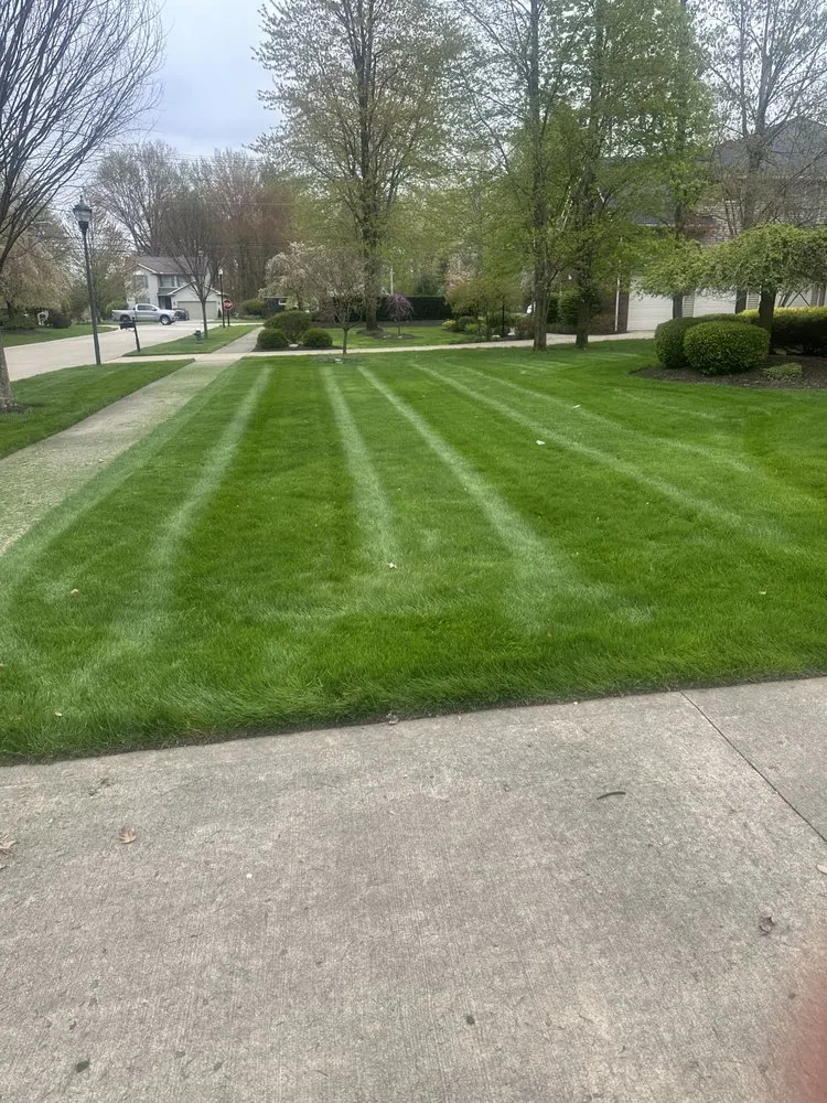 Top-rated landscape installation for beautiful yards in Lakewood, OH by C & M Landscaping