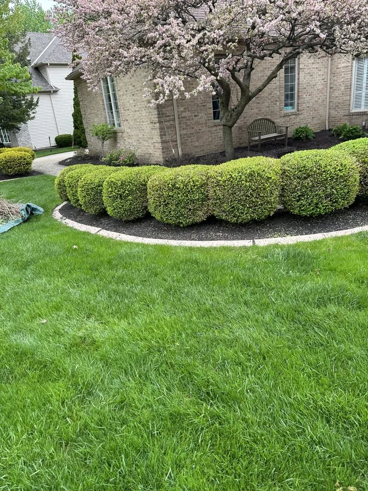 Local landscape design in Lakewood, OH by C & M Landscaping