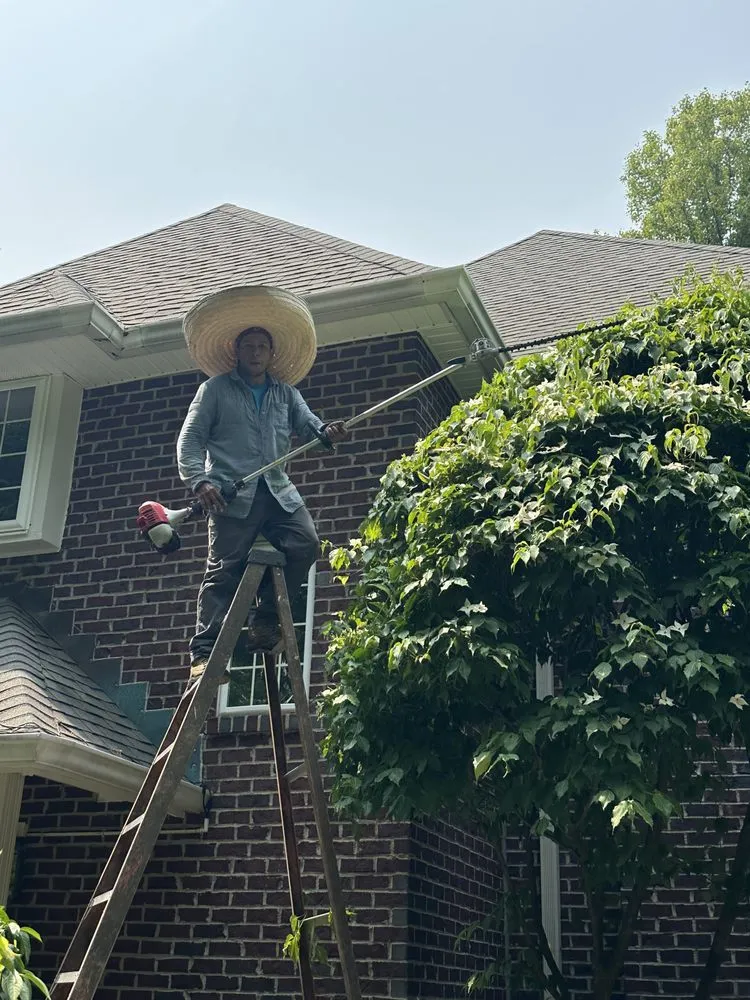 Trusted yard cleanup service in Lakewood, OH by C & M Landscaping