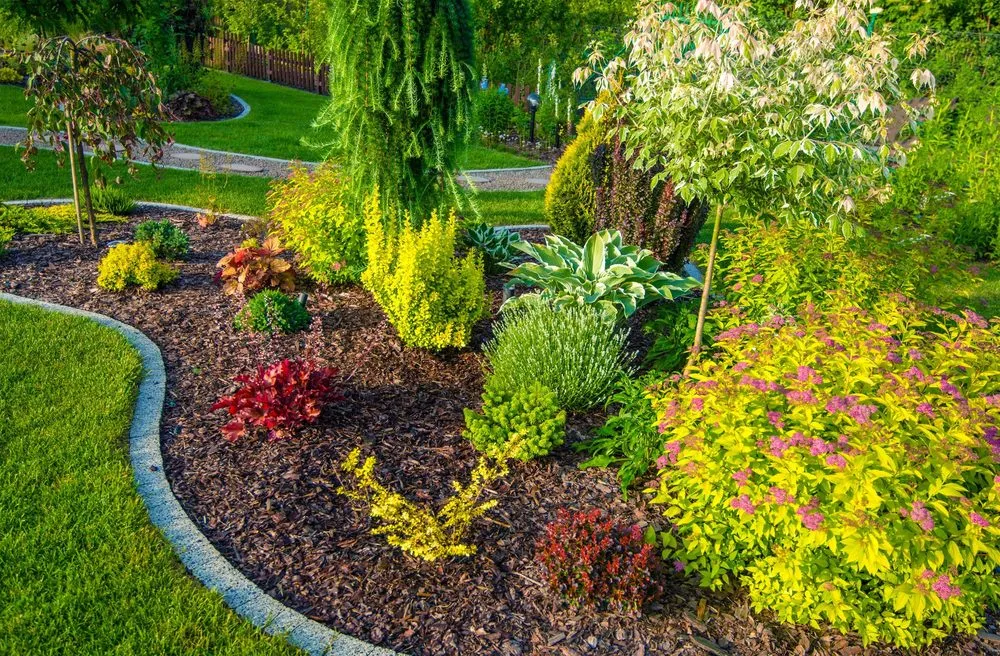 Expert landscaping services for year-round maintenance in Maysville, NC by C & M Landscaping