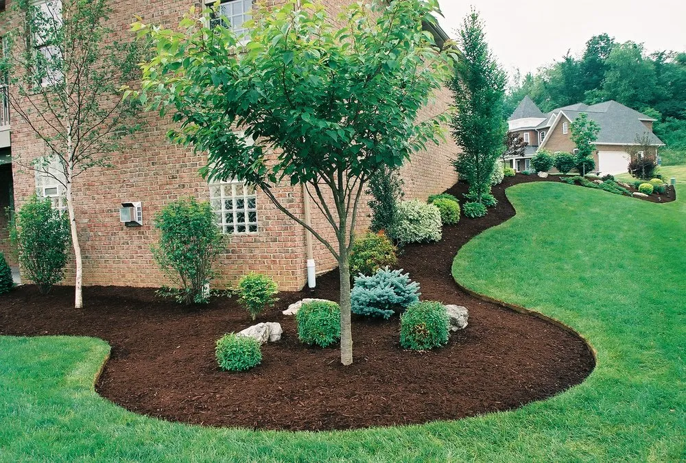Professional garden landscaping experts serving Maysville, NC - C & M Landscaping