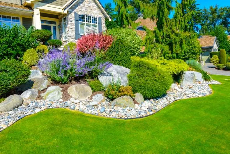 Top-rated yard maintenance experts serving Maysville, NC - C & M Landscaping
