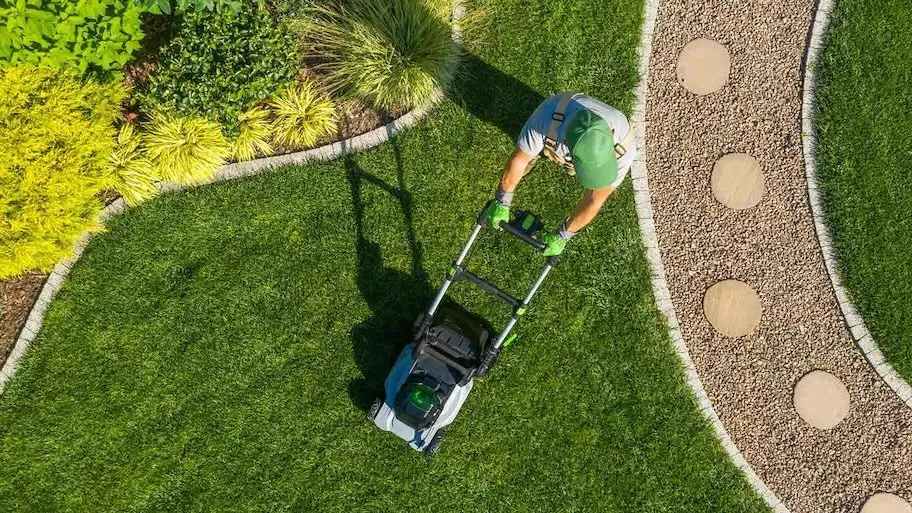 Top-rated landscaping services in Maysville, NC by C & M Landscaping