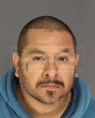 C & M Landscaping Services