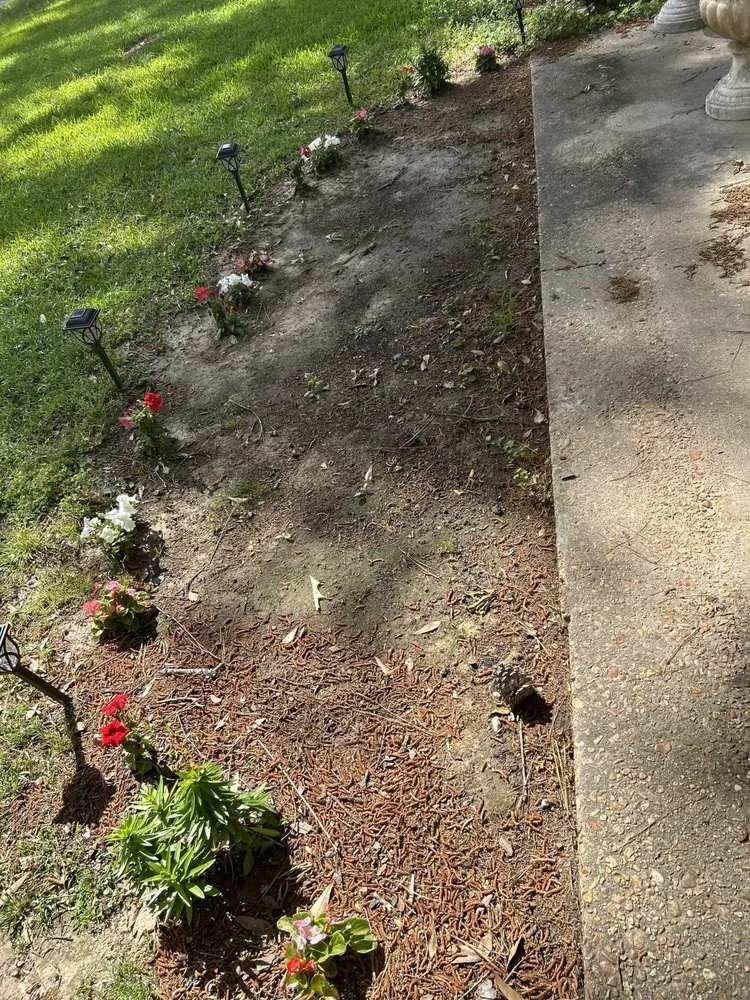 Reliable lawn care service experts serving Pearl, MS - C & M Lawn & Tree Care