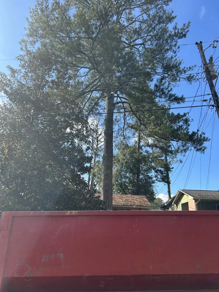 Expert garden landscaping for homes in Pearl, MS by C & M Lawn & Tree Care