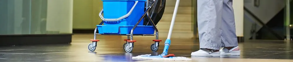 Custom landscape installation experts serving Eufaula, AL - C & M Sparkling Cleaning Services