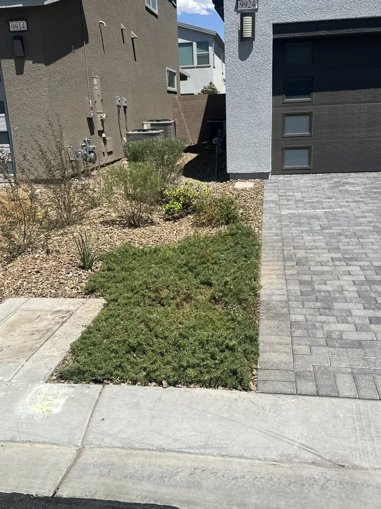 Top-rated yard maintenance experts serving Las Vegas, NV - C & Ma Landscaping Services