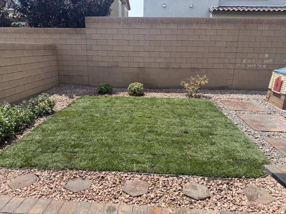 Top-rated lawn care service for homes in Las Vegas, NV by C & Ma Landscaping Services
