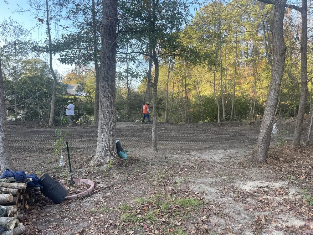 Trusted yard maintenance in Garner, NC by C & Mora Landscaping