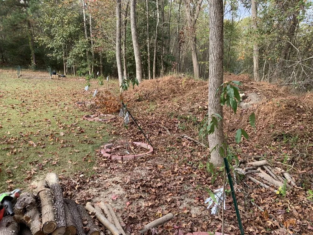 Custom residential landscaping in Garner, NC by C & Mora Landscaping