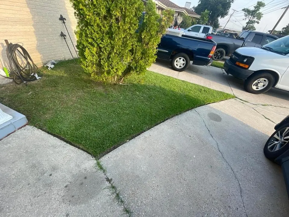 Affordable residential landscaping for residential properties across Gretna, LA - C & M’s lawn care