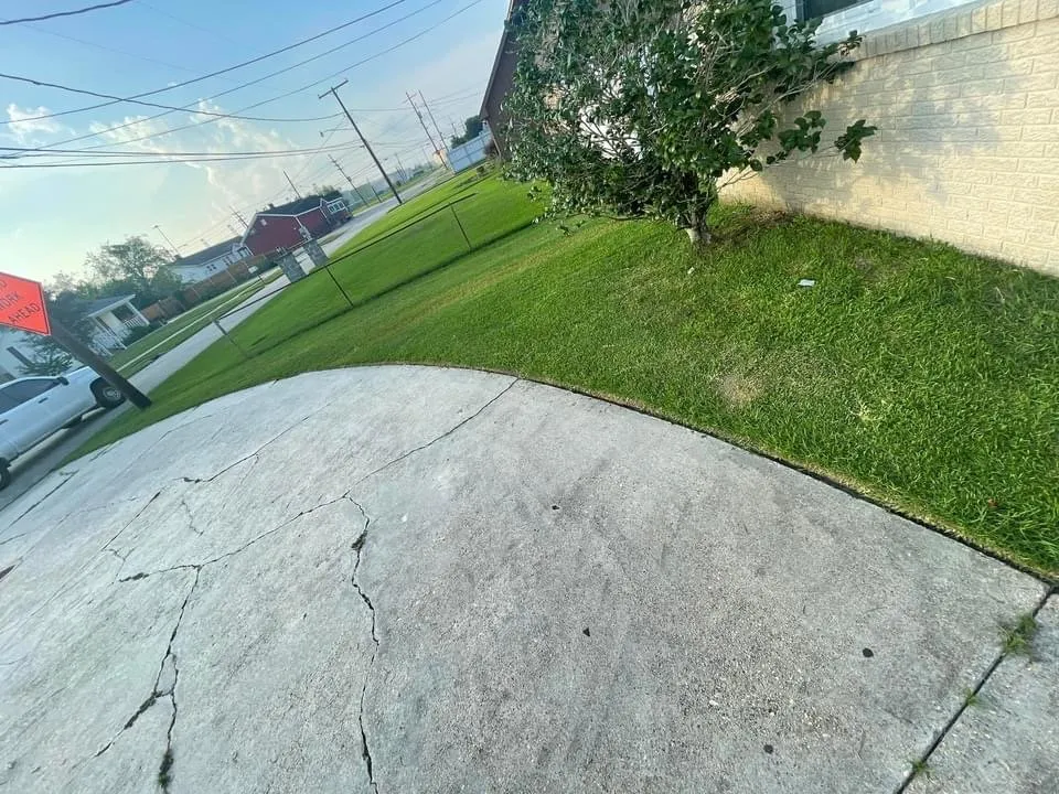 Top-rated lawn care service in Gretna, LA by C & M’s lawn care