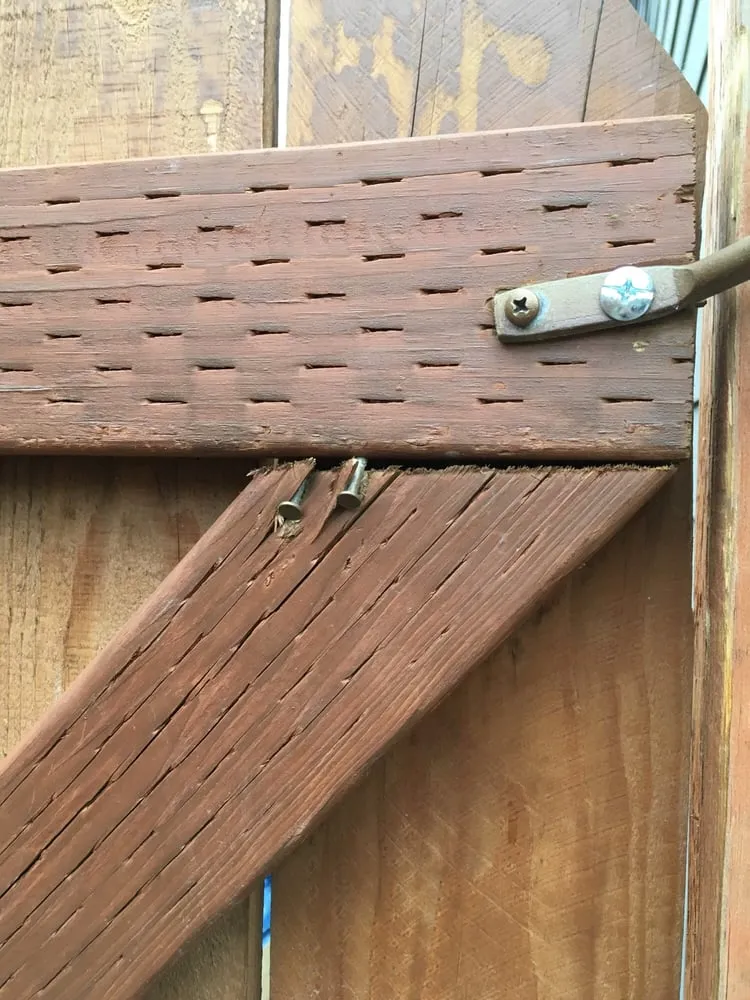 Reliable outdoor landscaping in Woodinville, WA - C & N Professional Landscaping