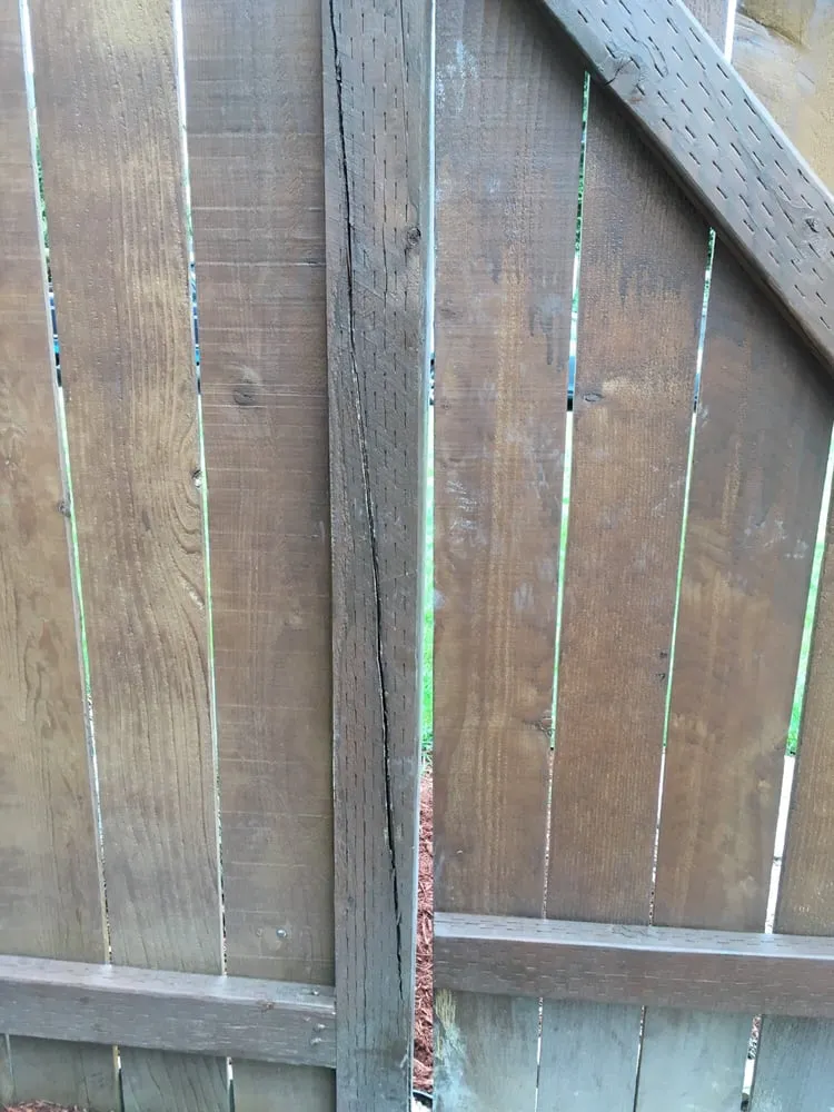 Expert yard cleanup service near you across Woodinville, WA - C & N Professional Landscaping