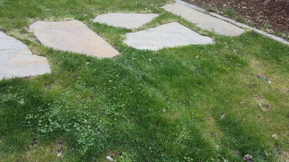 Top-rated landscape installation with custom design in Woodinville, WA by C & N Professional Landscaping