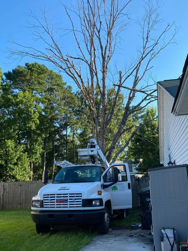 Trusted lawn care service in Goose Creek, SC by C & N Tree Service and Landscaping