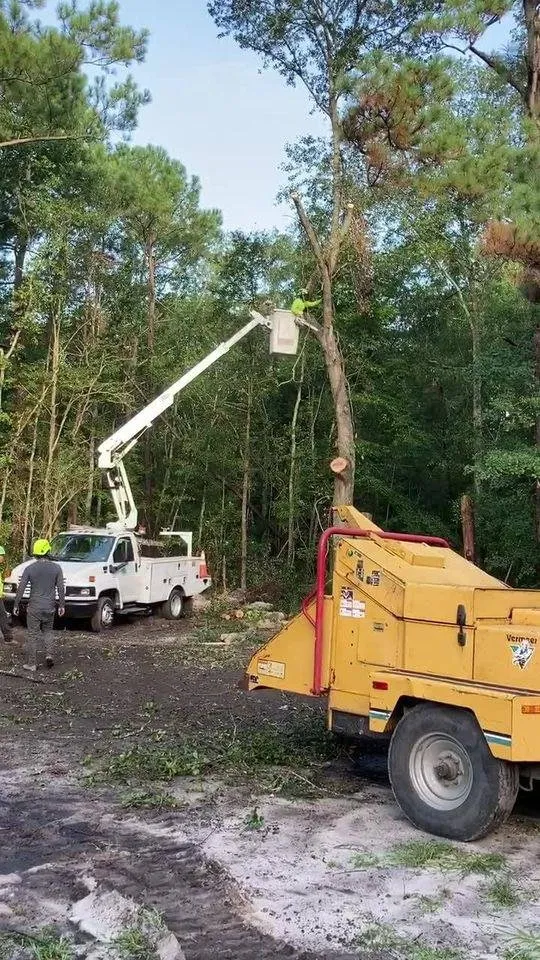 Custom yard cleanup service in Goose Creek, SC - C & N Tree Service and Landscaping