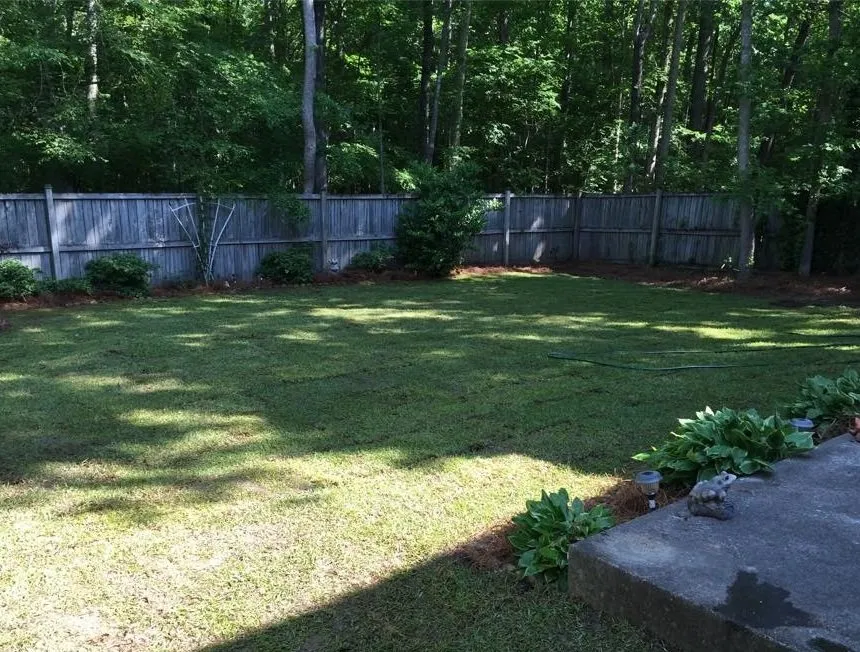 Reliable landscaping services experts serving Goose Creek, SC - C & N Tree Service and Landscaping
