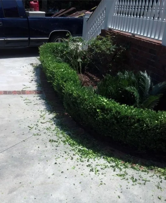 Professional garden landscaping for year-round maintenance in Goose Creek, SC by C & N Tree Service and Landscaping