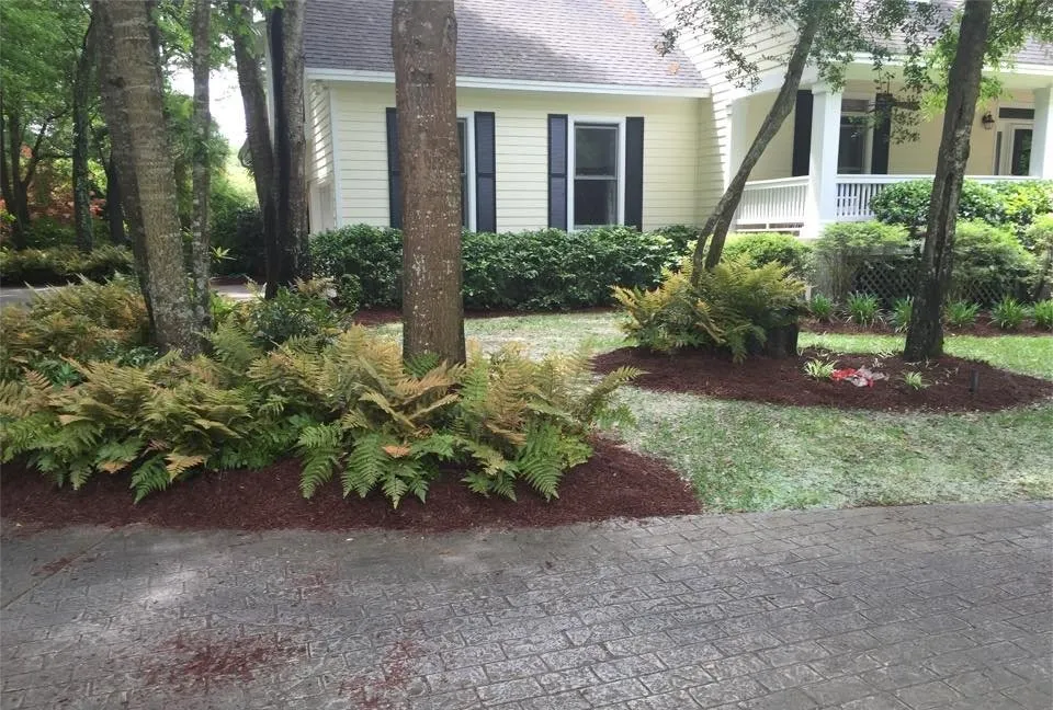 Affordable garden landscaping in Goose Creek, SC by C & N Tree Service and Landscaping