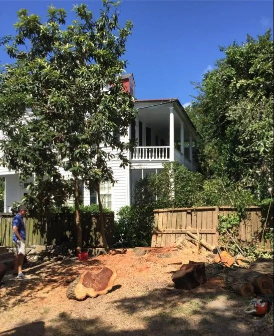 Professional lawn mowing service in Goose Creek, SC by C & N Tree Service and Landscaping