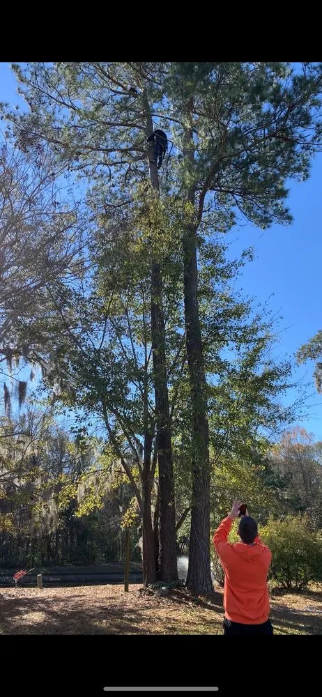 Affordable landscape installation for homes in Goose Creek, SC by C & N Tree Service and Landscaping