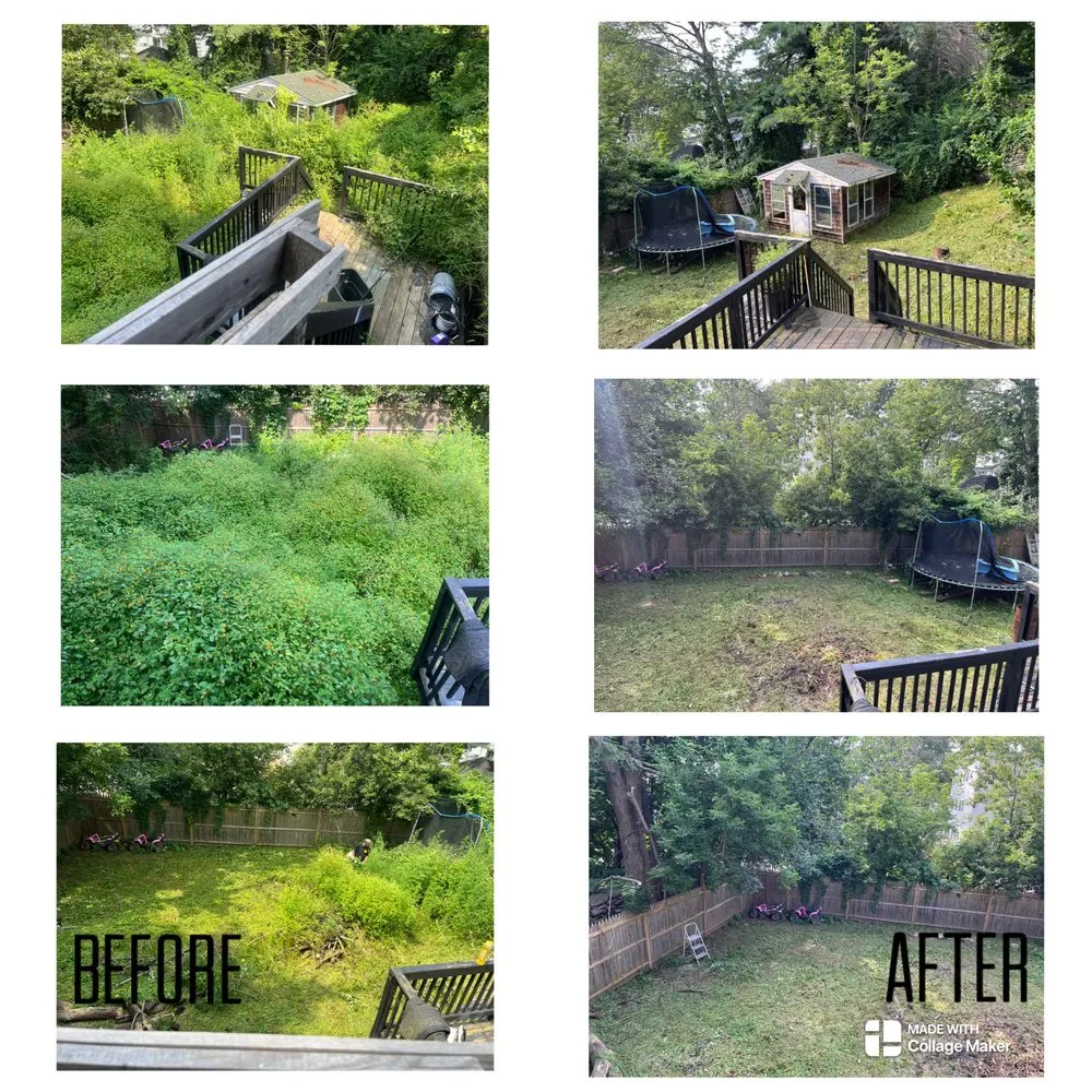 Custom lawn care service near you in Winchendon, MA by C & P Clean All