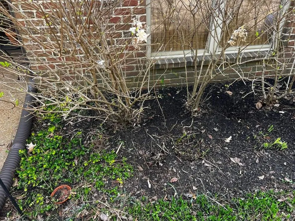 Trusted residential landscaping experts serving Sarah, MS - C & P Lawn Care