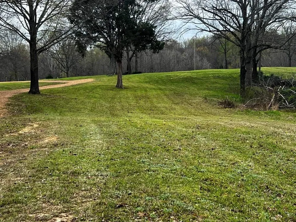 Affordable landscape installation experts serving Sarah, MS - C & P Lawn Care