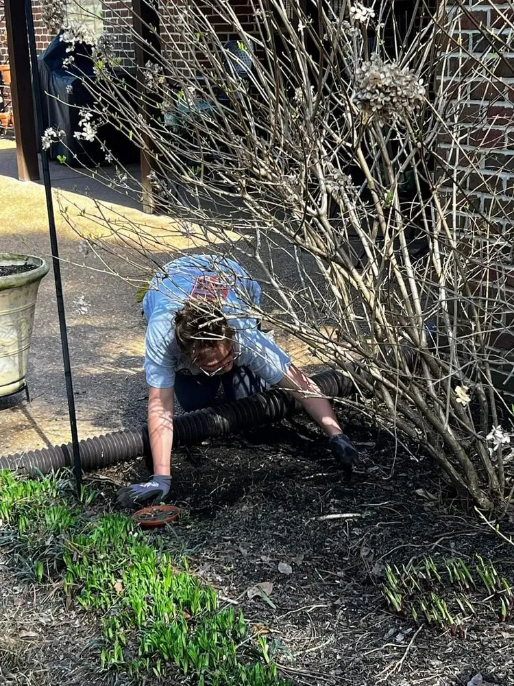 Expert garden landscaping in Sarah, MS by C & P Lawn Care