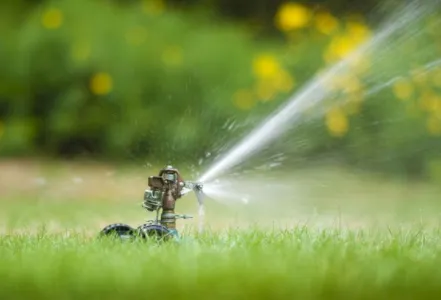 Local outdoor landscaping experts serving Kailua, HI - C & P Lawn Sprinklers