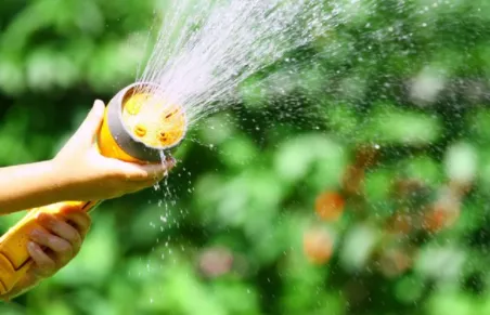 Affordable landscape installation for outdoor upgrades in Kailua, HI by C & P Lawn Sprinklers