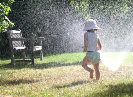 Custom yard cleanup service with custom design in Kailua, HI by C & P Lawn Sprinklers