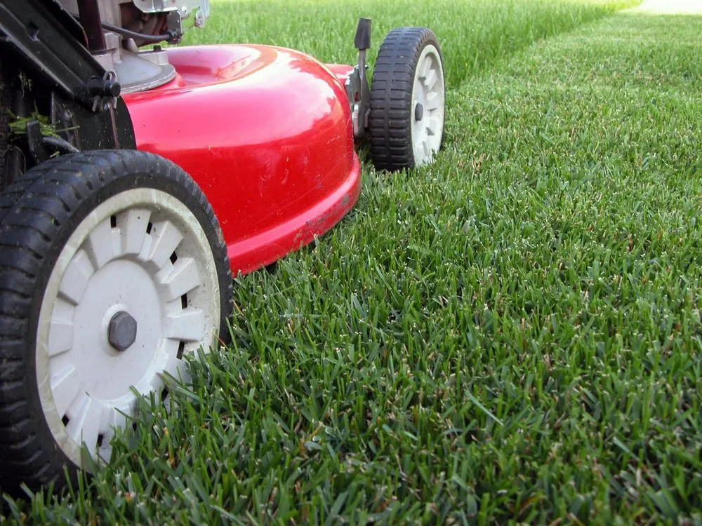 Trusted residential landscaping in St Augustine, FL by C & R Exterior Services