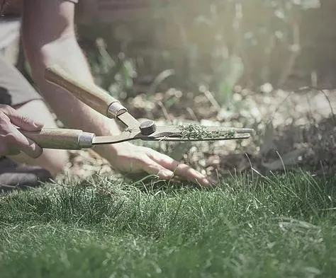 Affordable lawn care service for outdoor upgrades across Imperial, PA - C & R Landscape Development