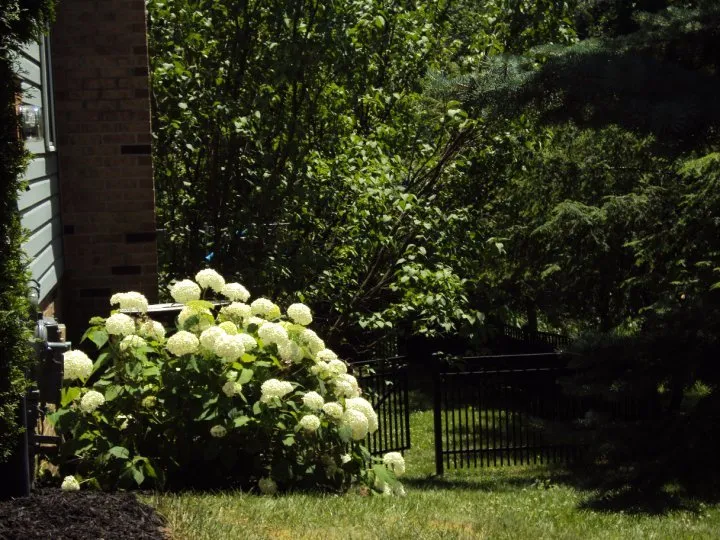 Trusted yard cleanup service experts serving Imperial, PA - C & R Landscape Development